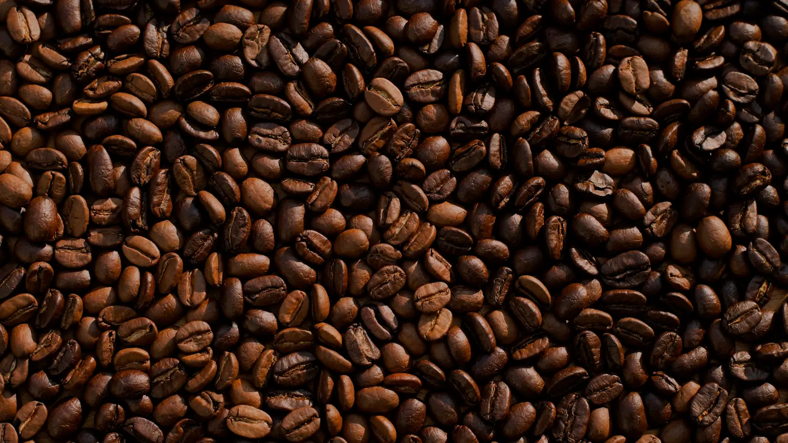 Dark roasted coffee beans filling the frame