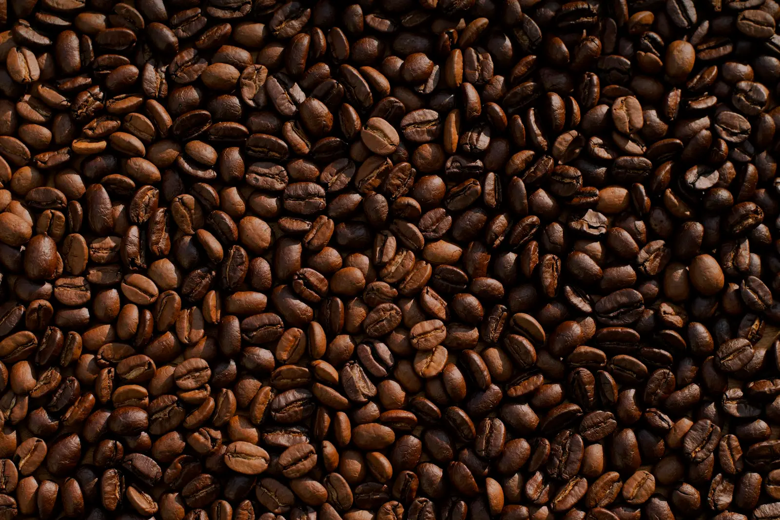 Dark roasted coffee beans filling the frame