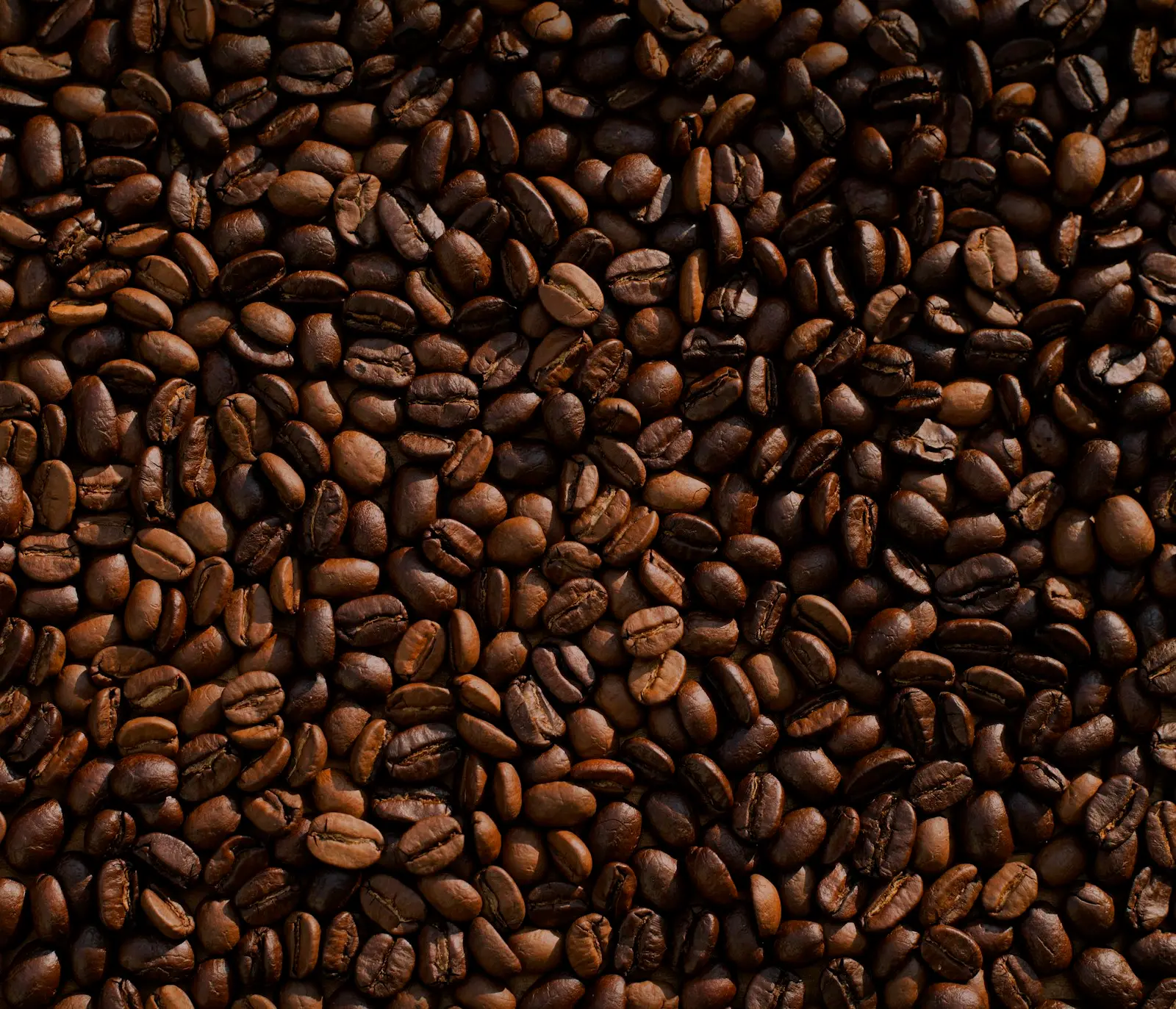 Dark roasted coffee beans filling the frame