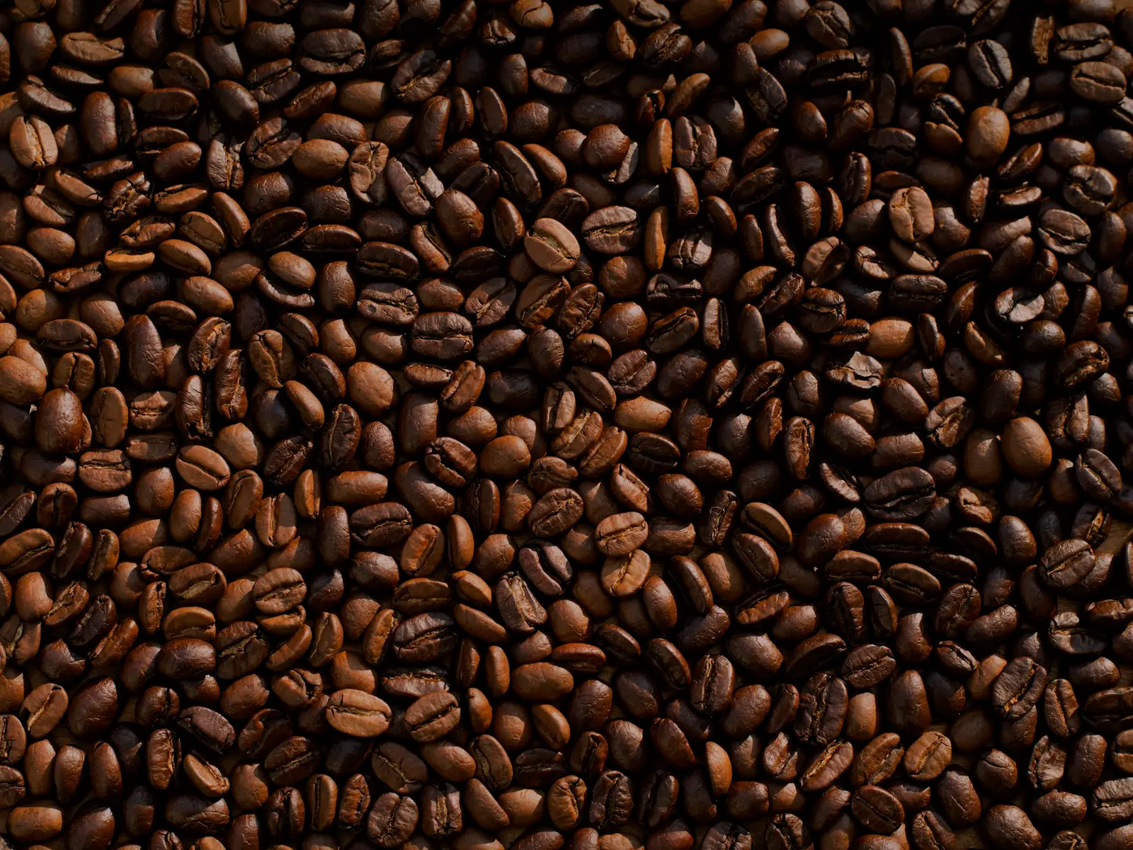 Dark roasted coffee beans filling the frame