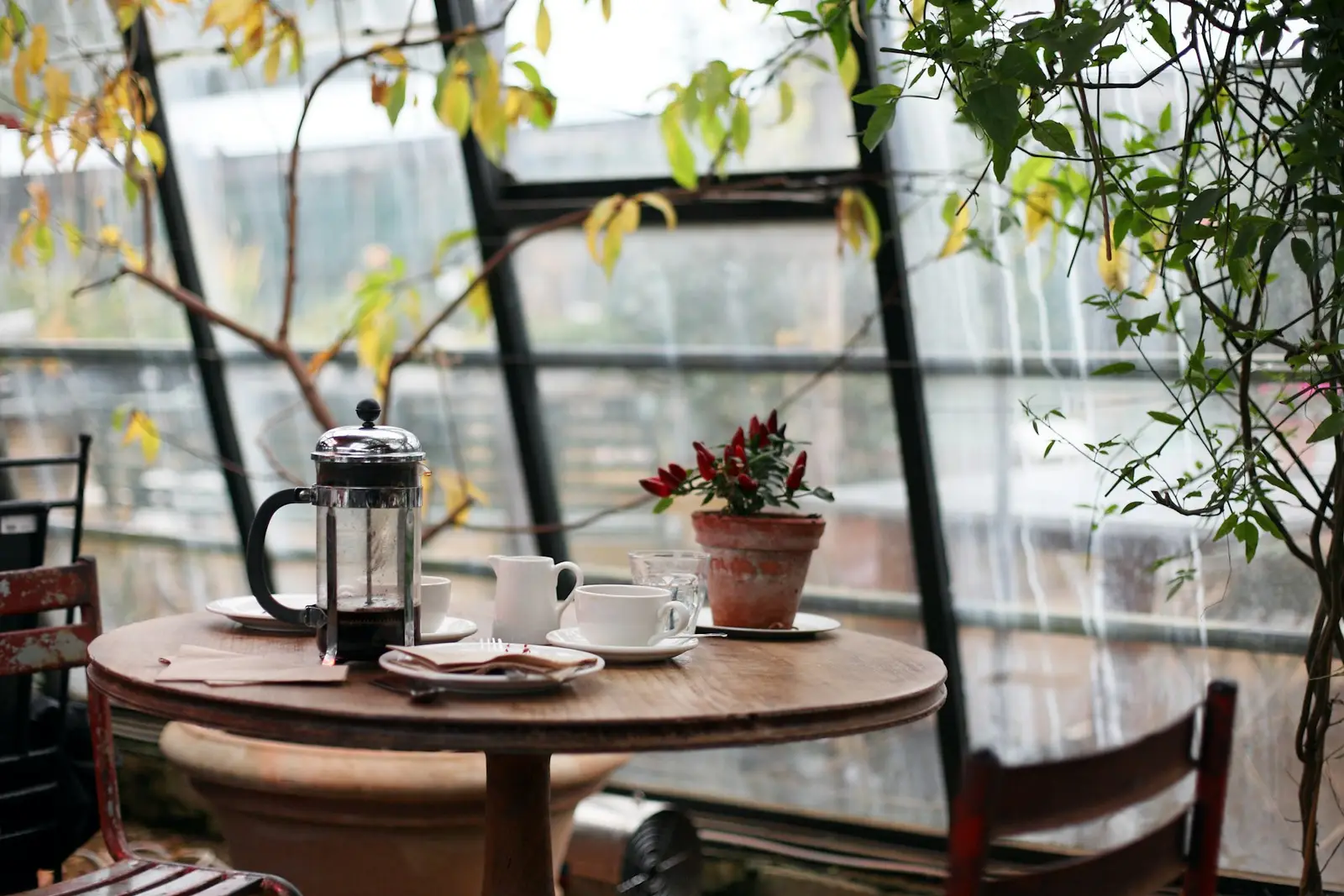 A sunlit café window with a table, a French press and cups