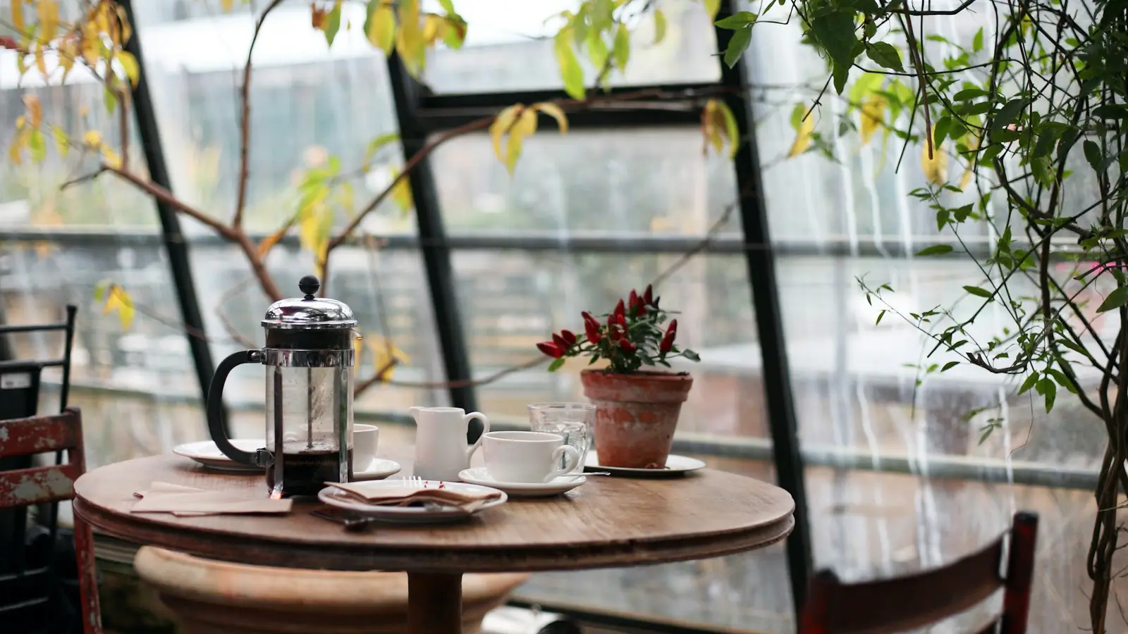 A sunlit café window with a table, a French press and cups