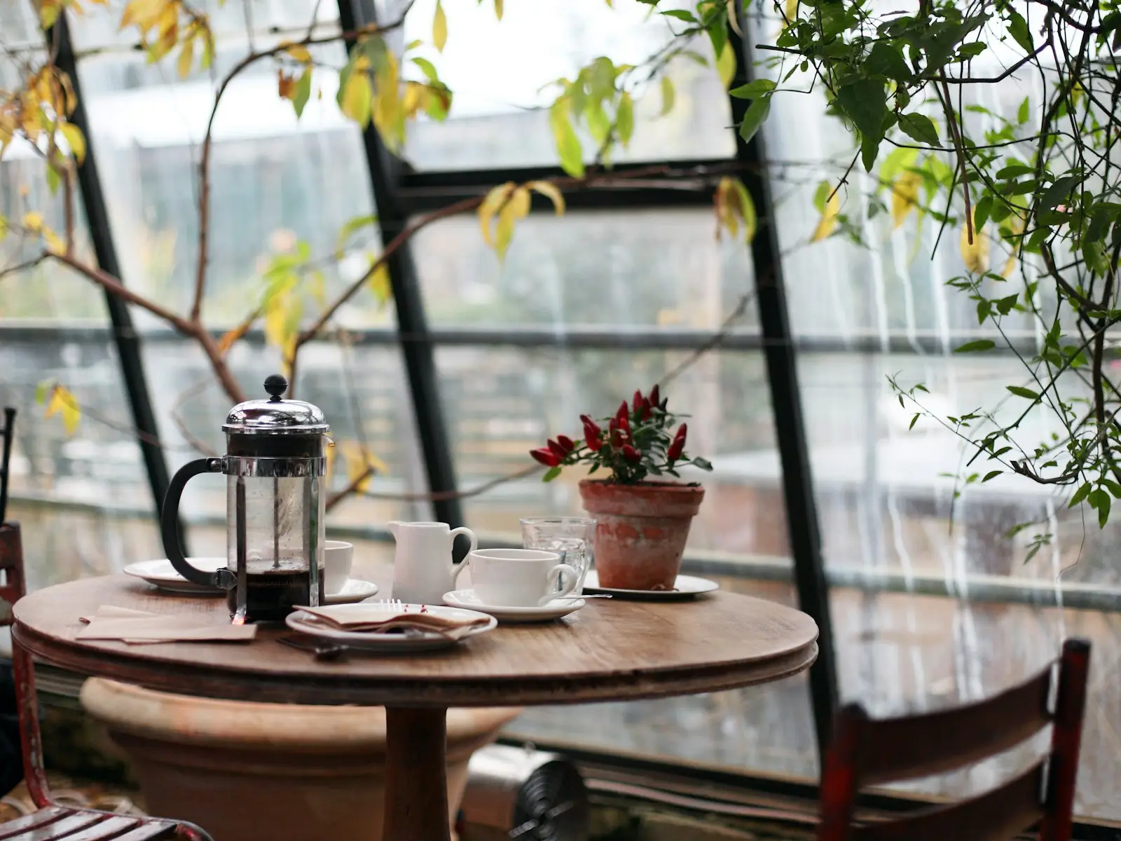 A sunlit café window with a table, a French press and cups