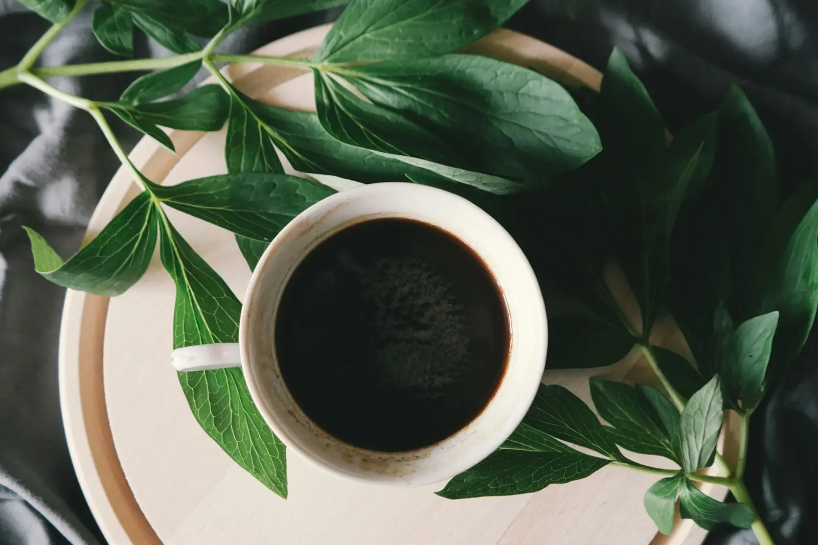 A coffee plant with green leaves and a cup of black coffee