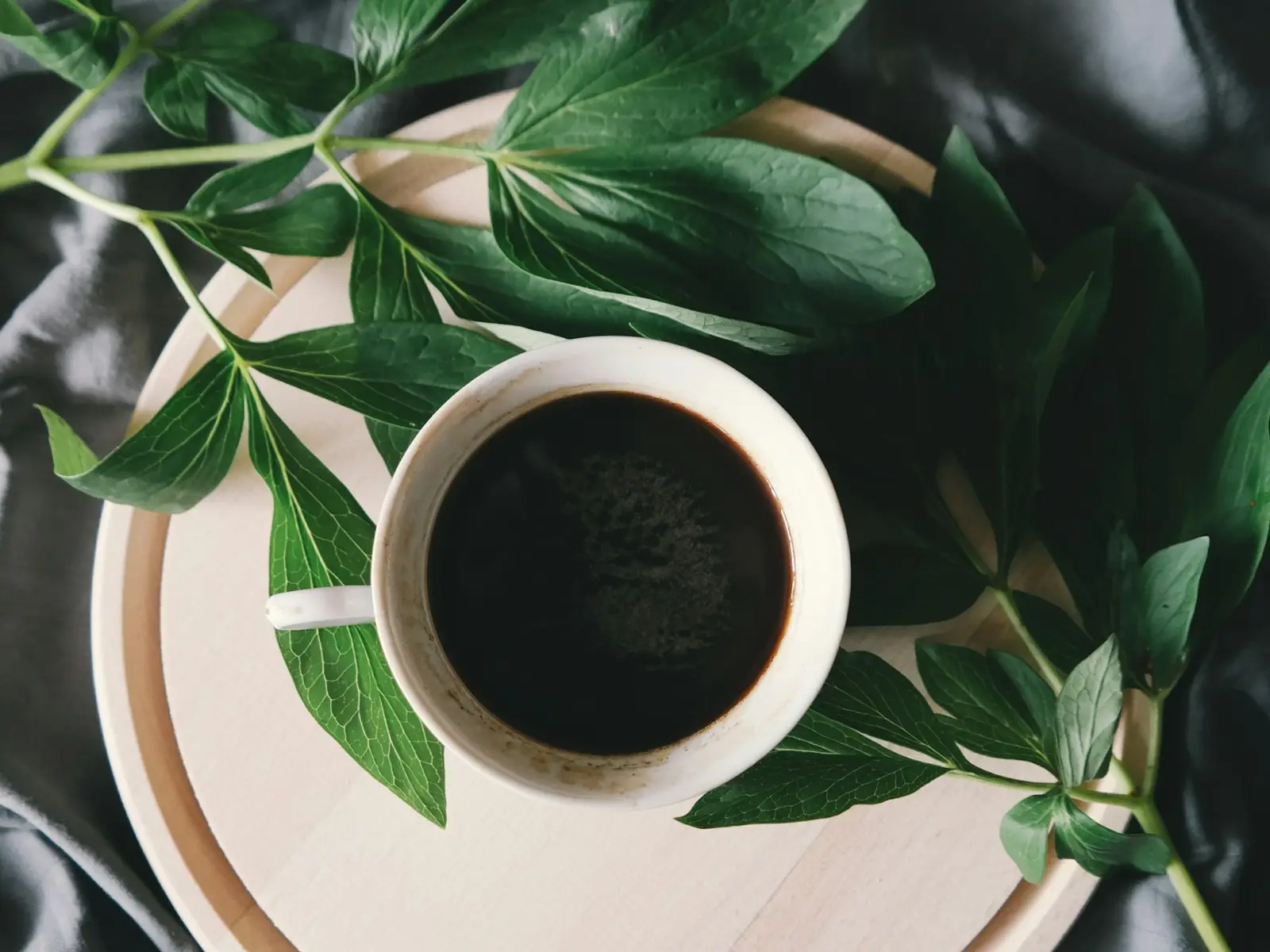 A coffee plant with green leaves and a cup of black coffee