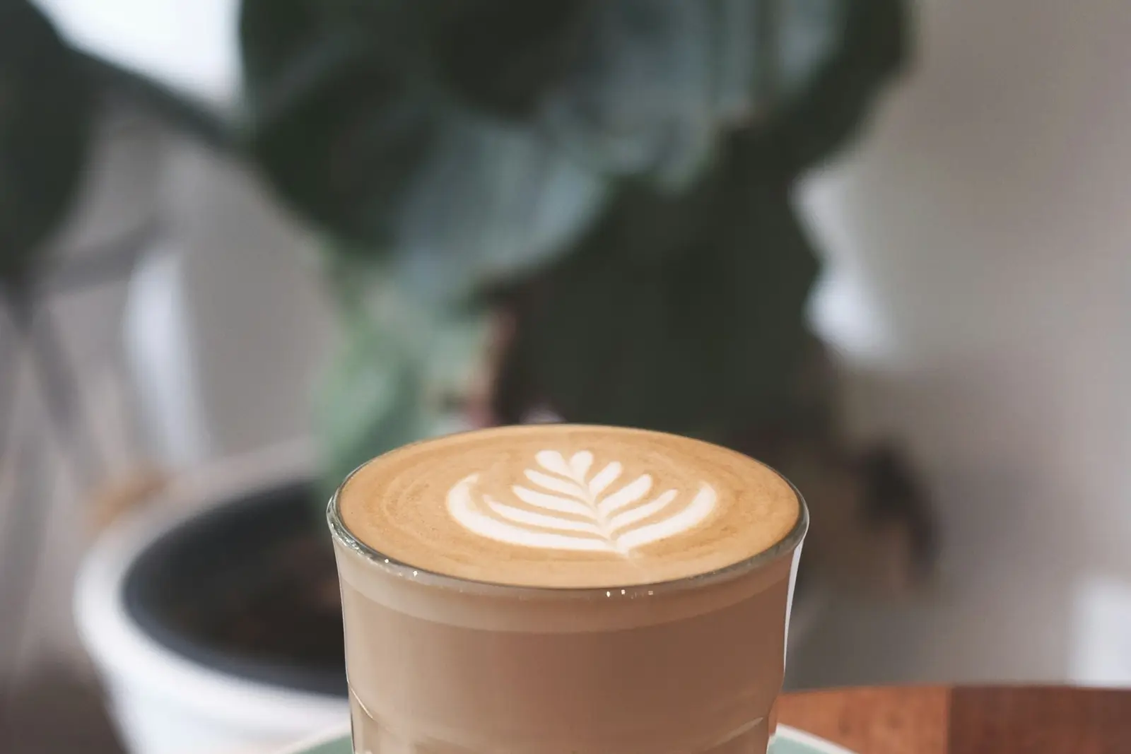 A latte with leaf art in a cup on a saucer