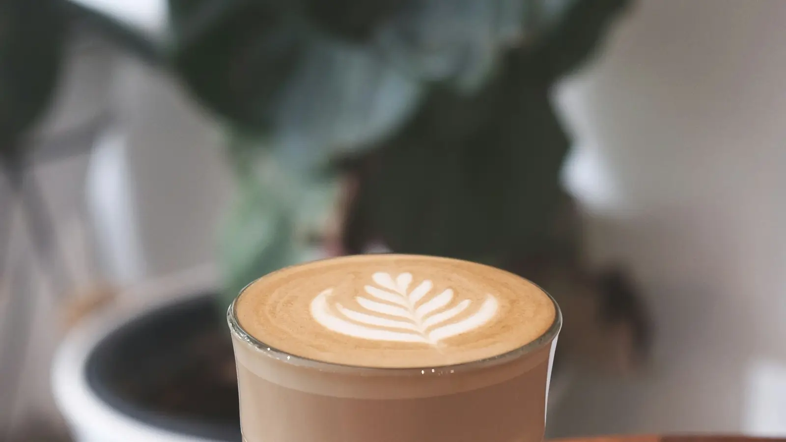 A latte with leaf art in a cup on a saucer