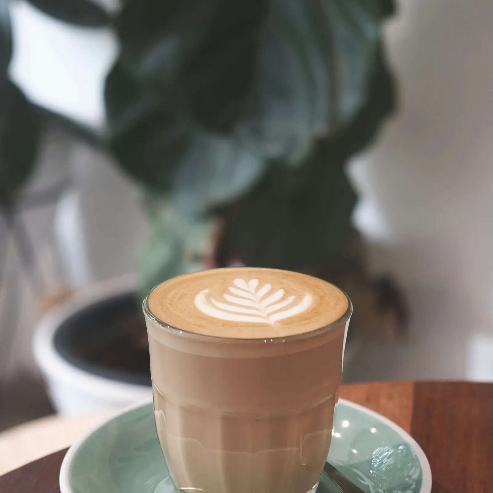 A latte with leaf art in a cup on a saucer