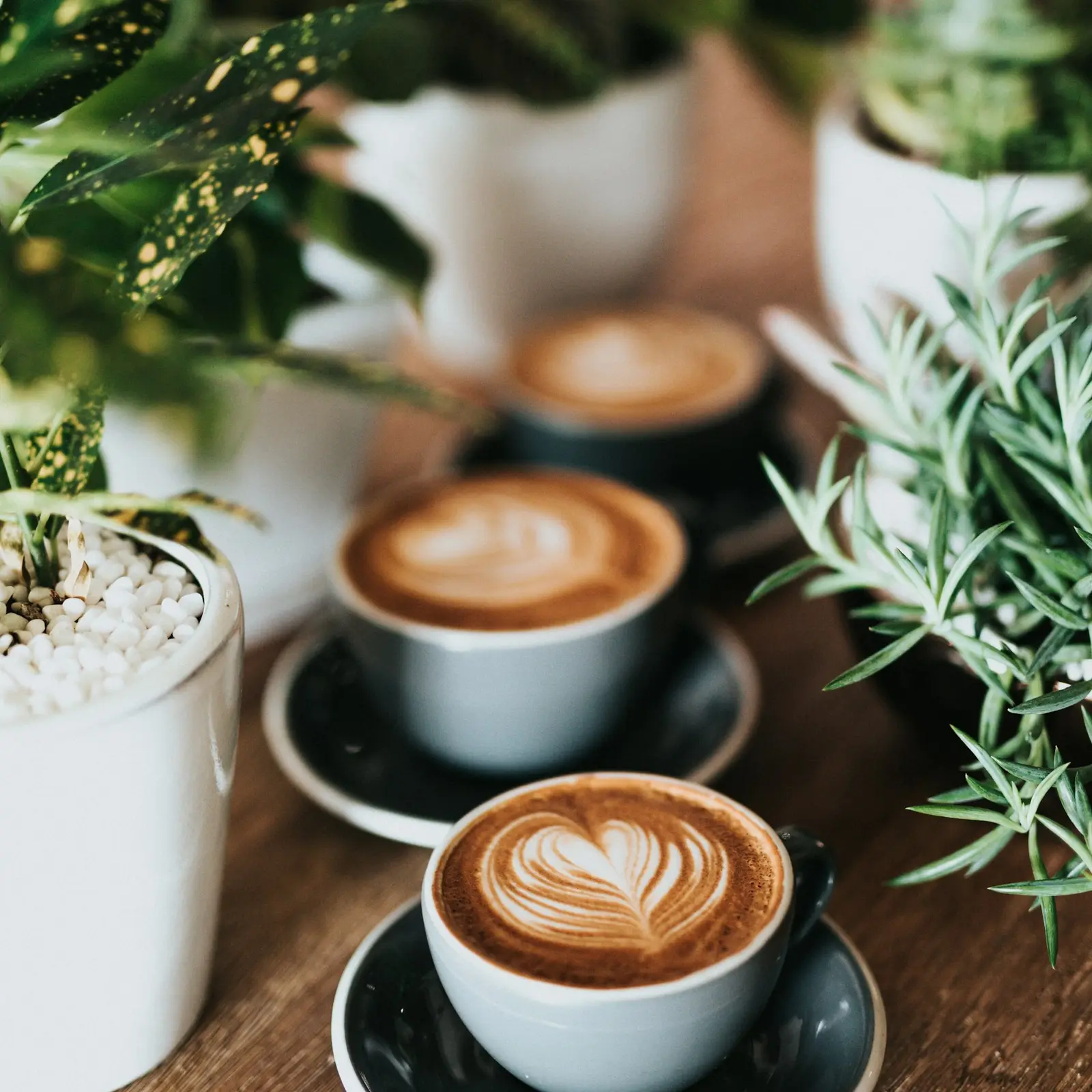 A latte with art in a cup beside green plants