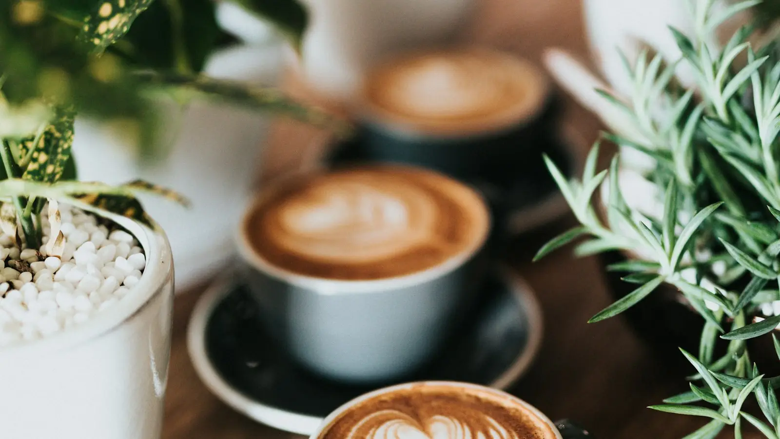 A latte with art in a cup beside green plants