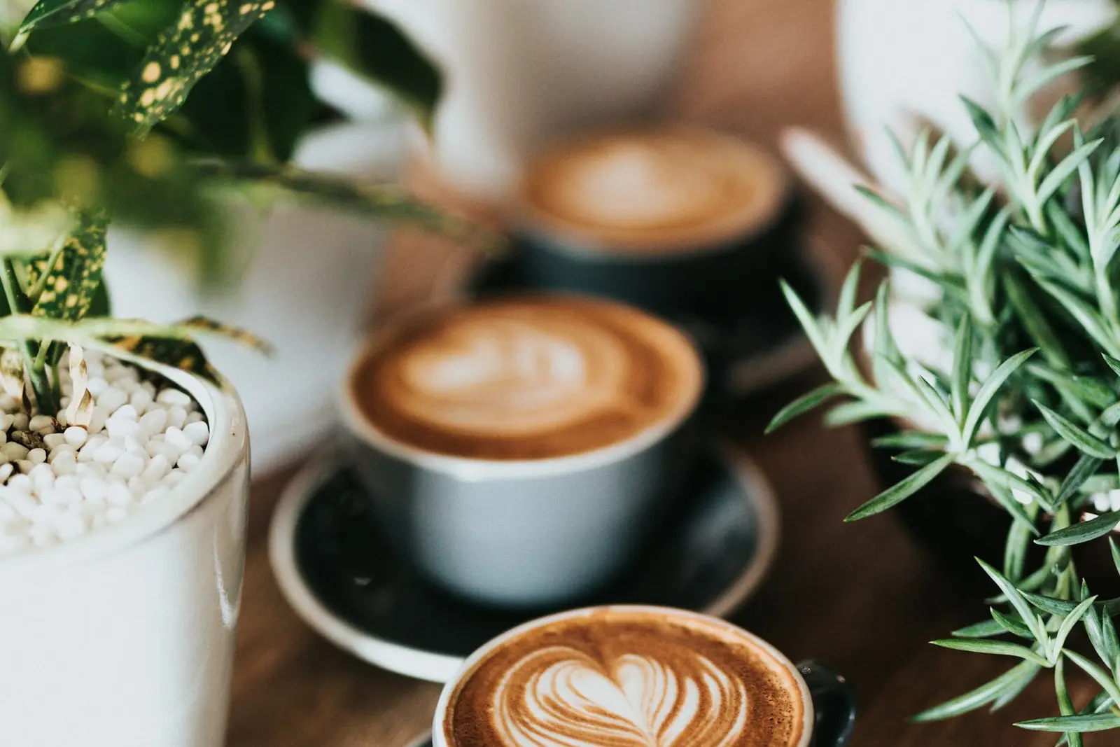A latte with art in a cup beside green plants